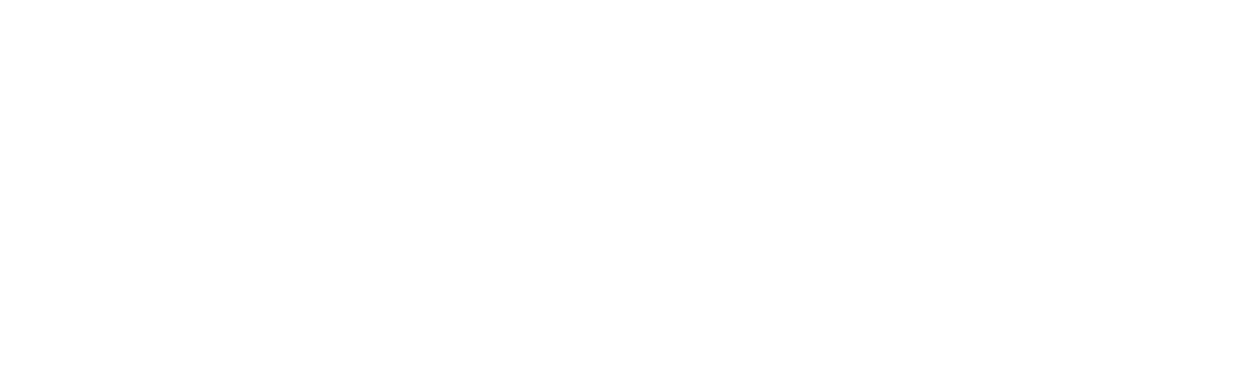 Whisk + Joy Custom Cakes By Raney